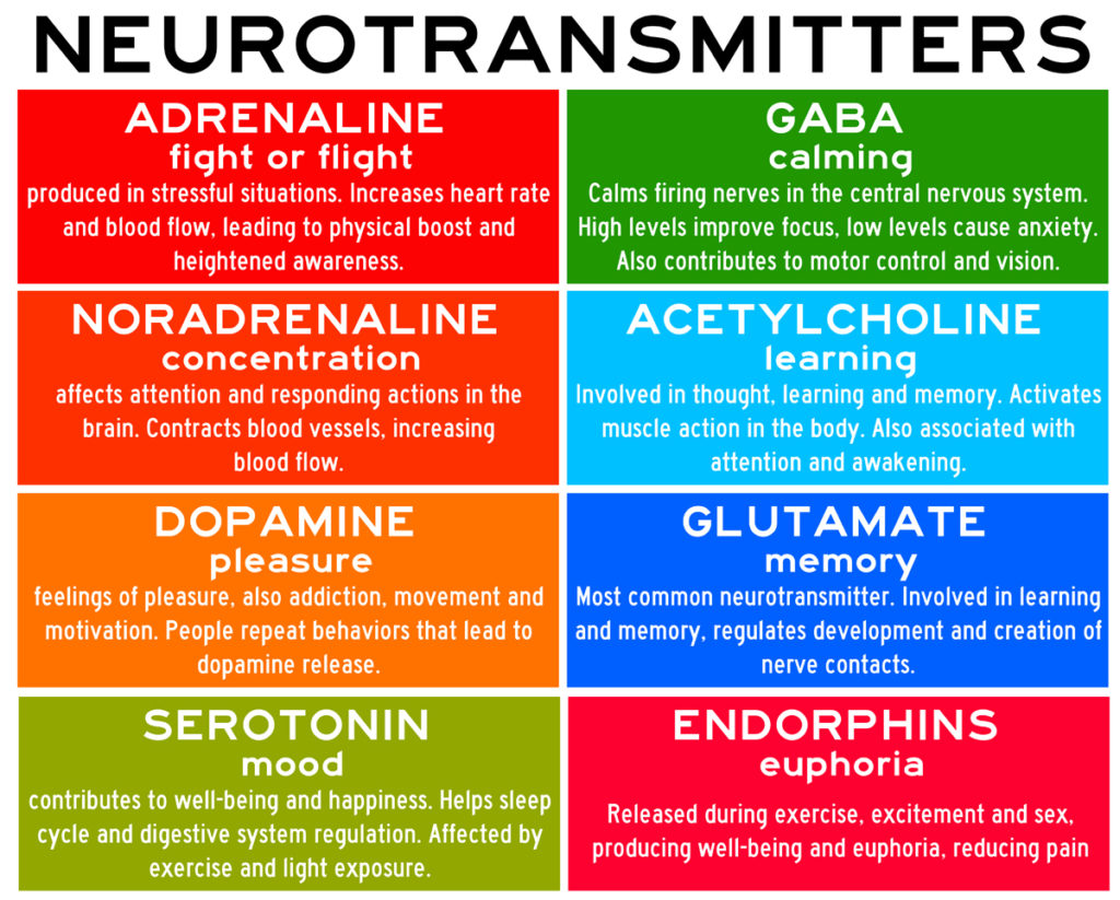 Brain neurotransmitter chart.