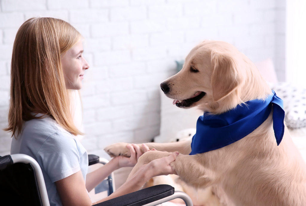 Girl in wheelchair with emotional service dog  