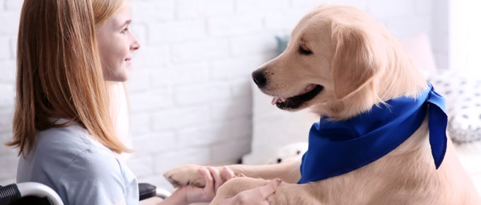 Girl in wheelchair with emotional service dog