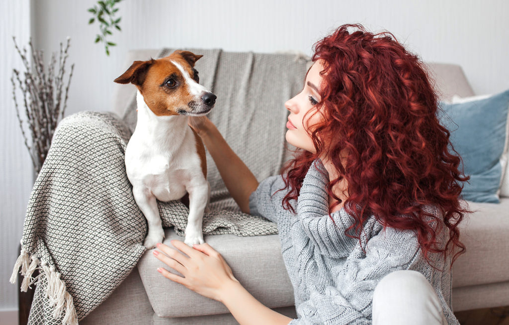 Woman with red hair staring at her dog on sofa. Best dog breed for apartment.